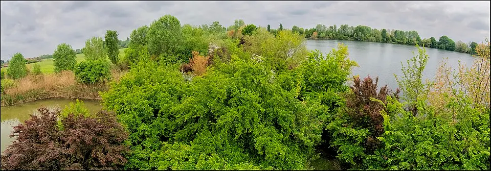 Area archeologica di San Lorenzo
