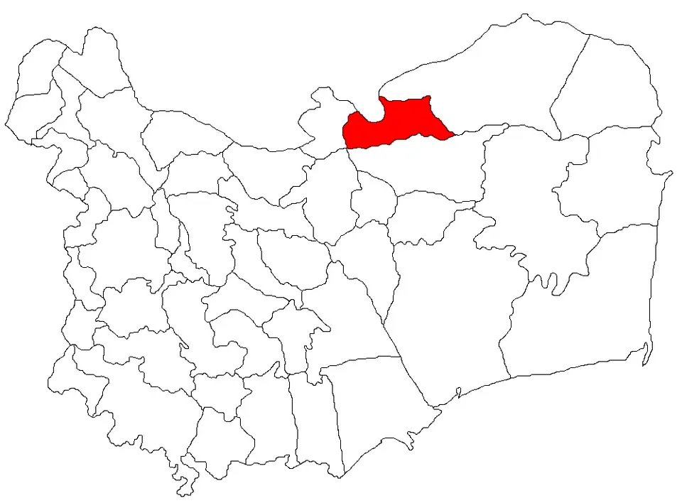 Pardina