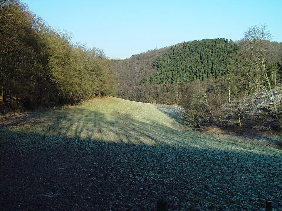 Pastoratshofer Bach