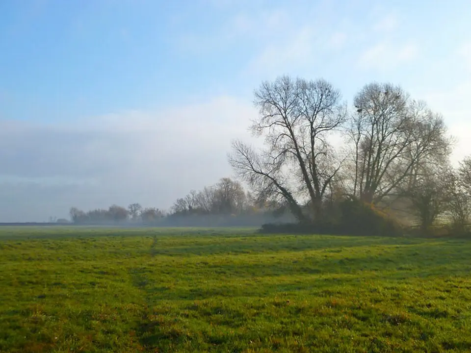 Longwick