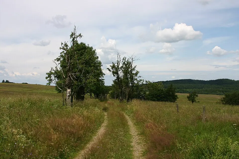 Obrázek: Hadonos · Public domain Steinkuppe