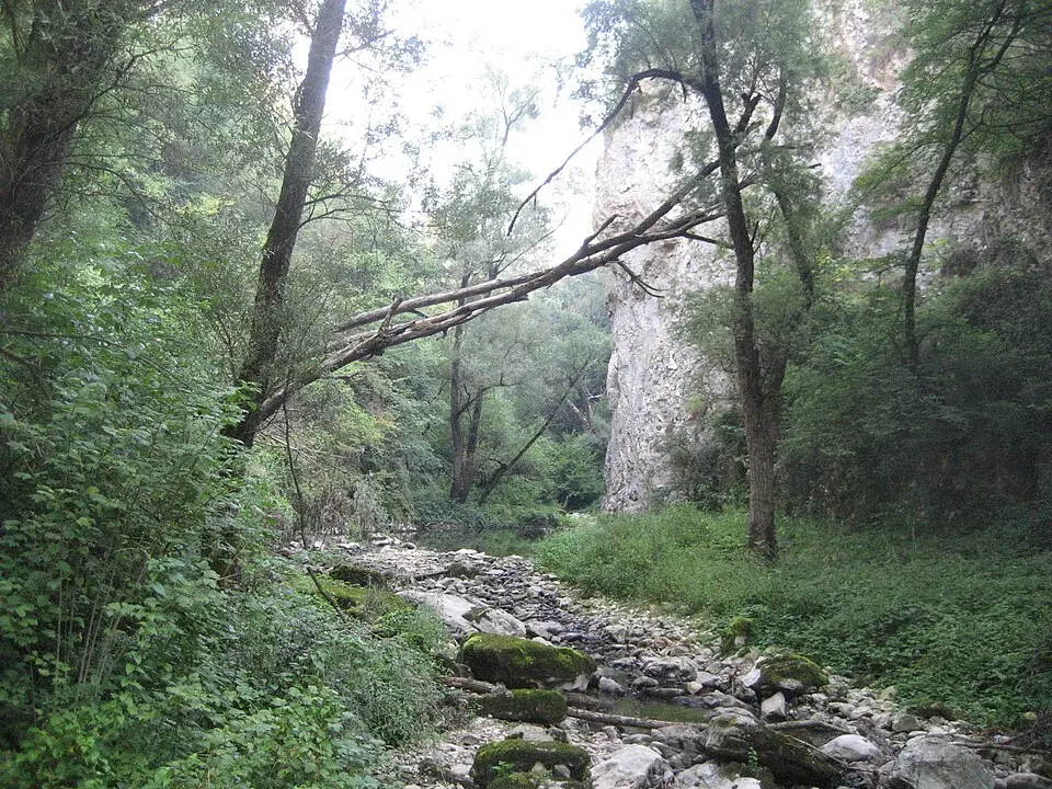 Bild: Modzzak · CC BY-SA 3.0 Pazinčica