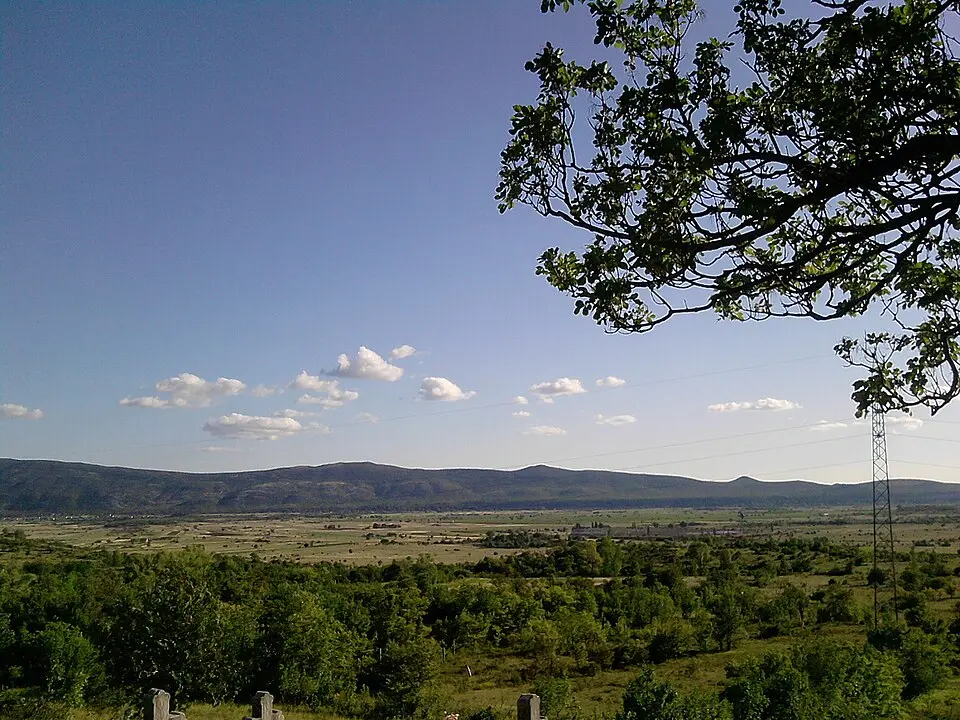 Bild: gorchfin · CC BY 3.0 Petrovo polje