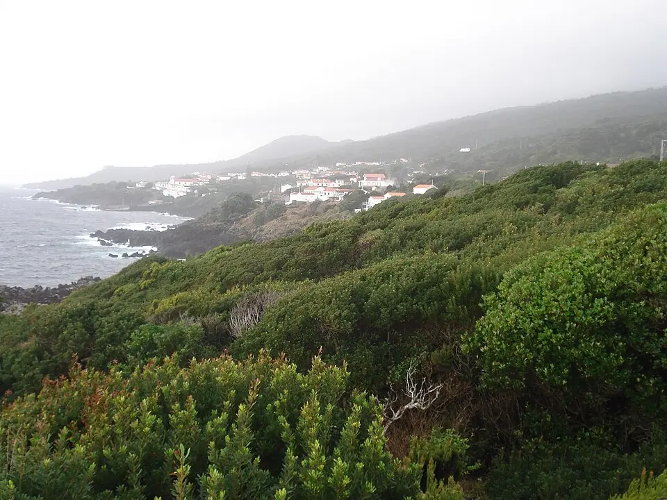 São Caetano (Madalena)