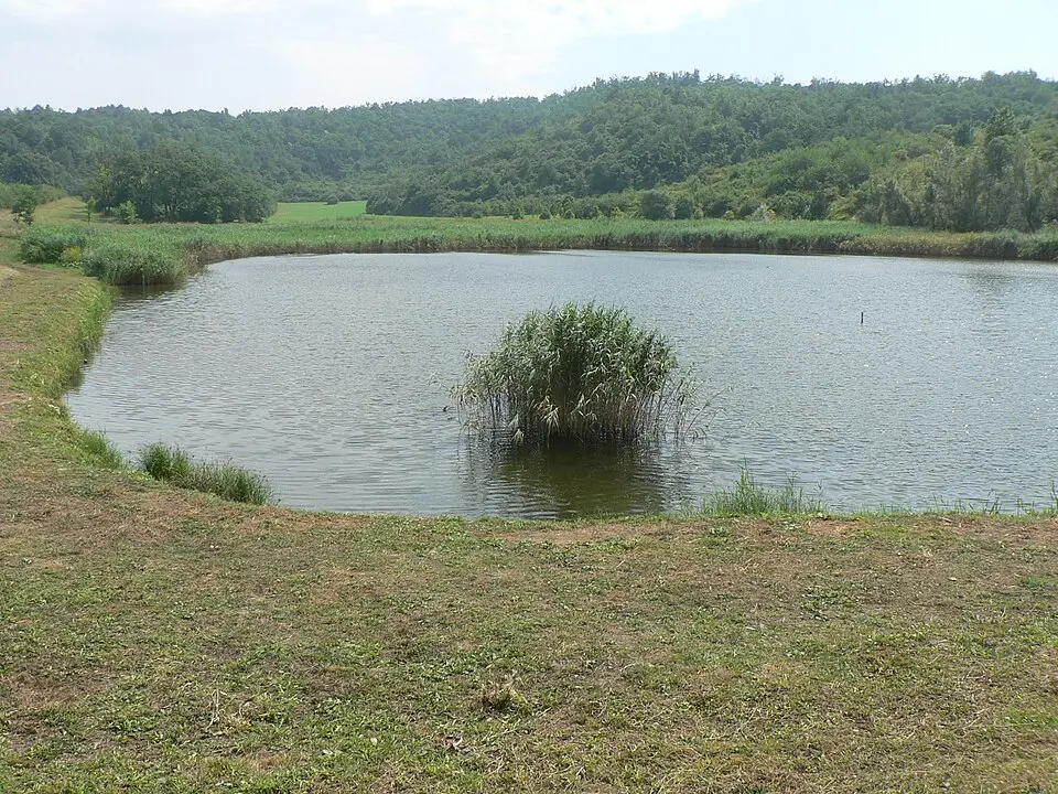 Garancsi-tó
