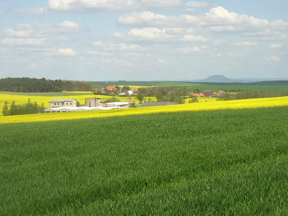 Lotouš