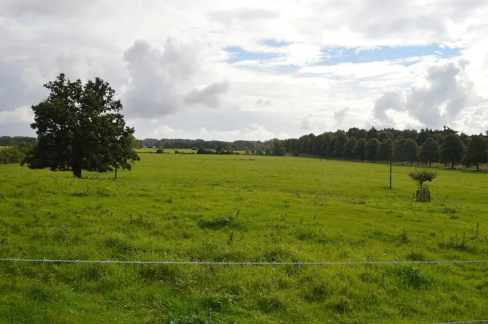 Appleton medieval and early post-medieval settlement
