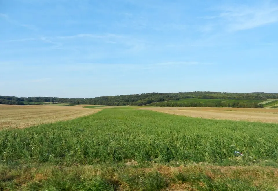 Römische Villa Seeschlachten