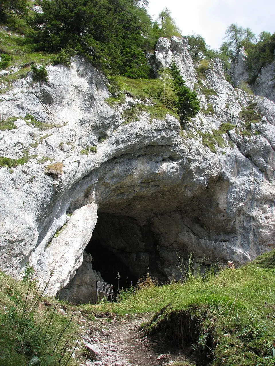 Potočka zijavka
