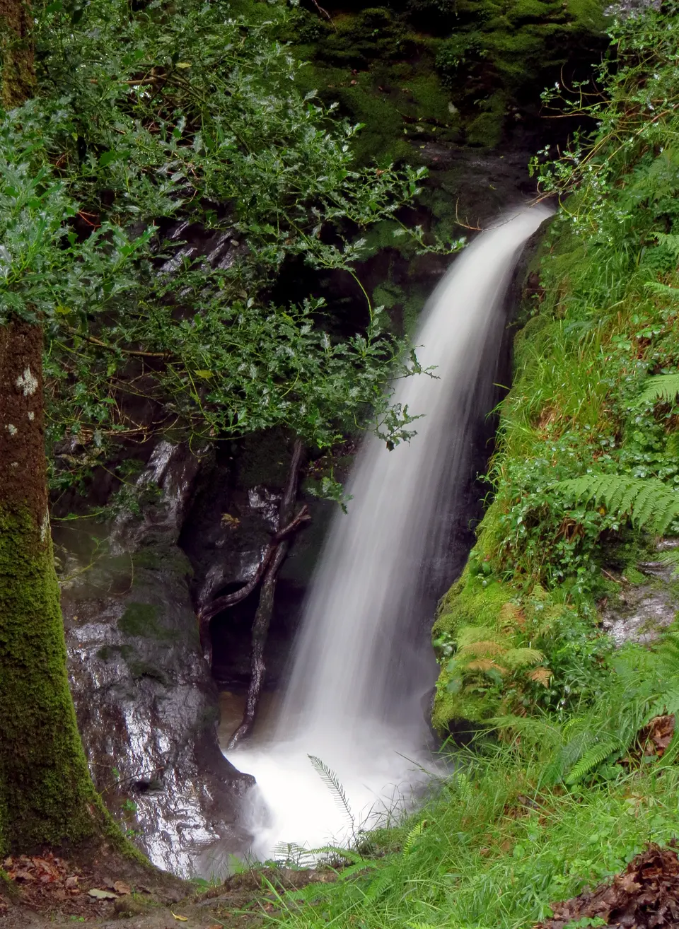 Bild: 1ivia · CC BY 2.0 Poulanass Waterfall