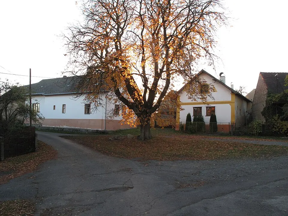 Pozdyně