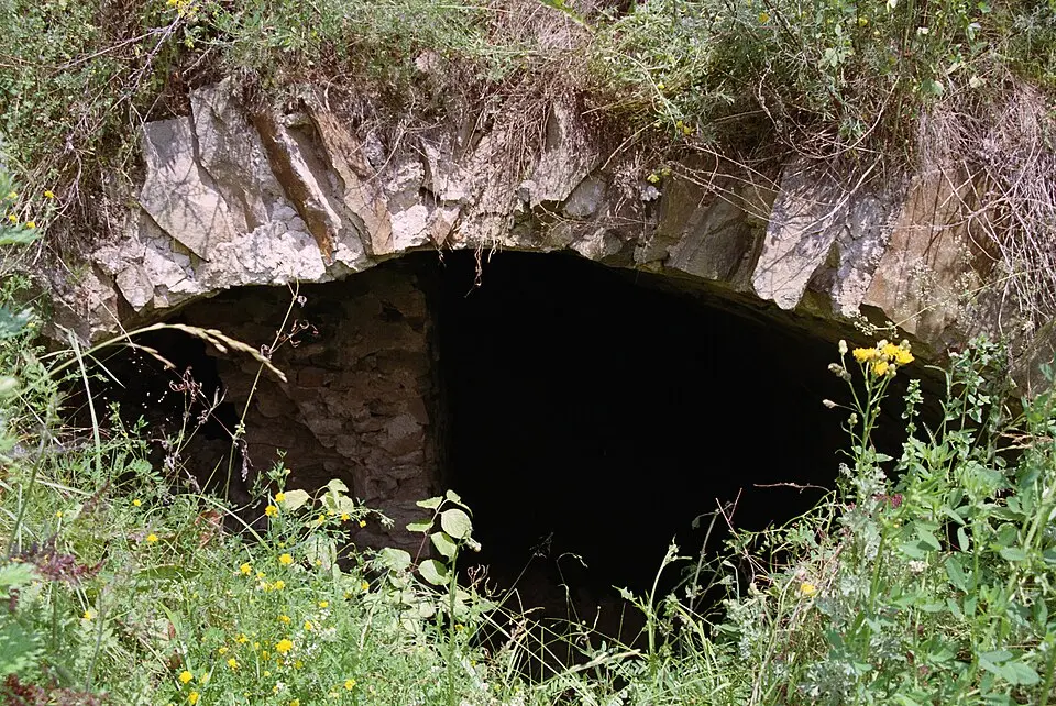 Zamek w Konarach