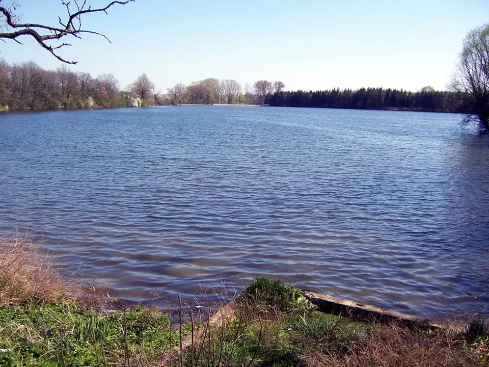 Podleský rybník