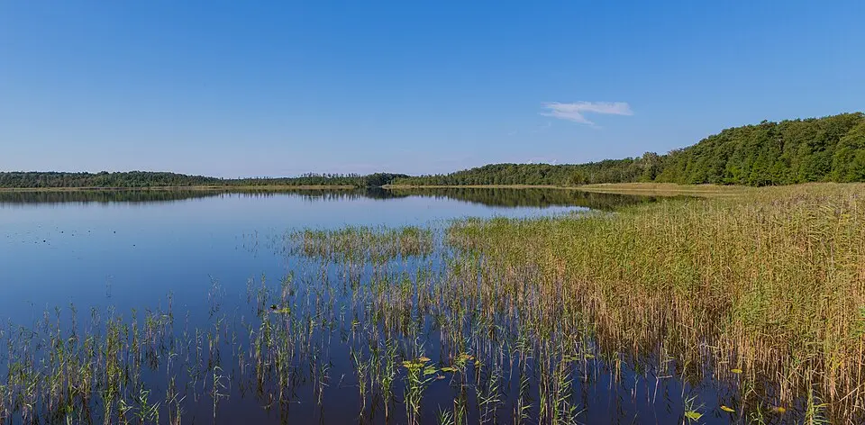 Priesterbäker See