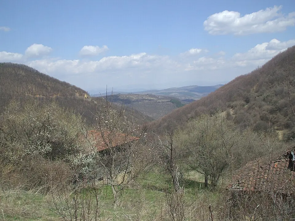 Проданча