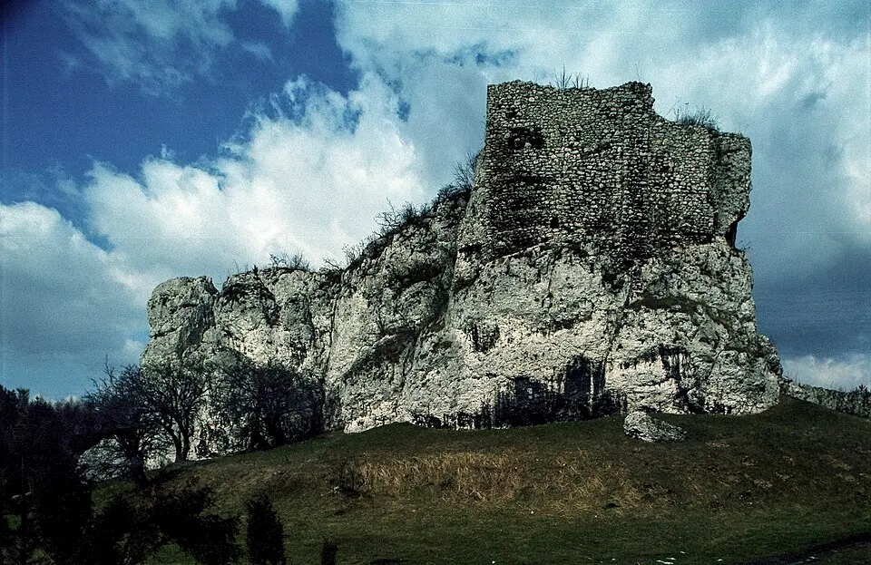 Wachturm Przewodziszowice