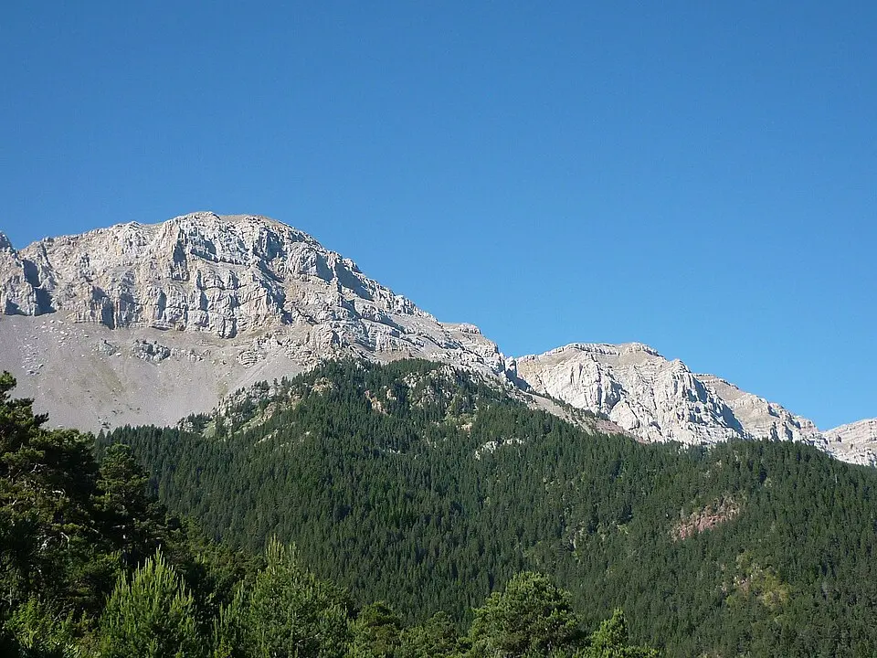Image: Isidre blanc · CC BY-SA 3.0 Vulturó