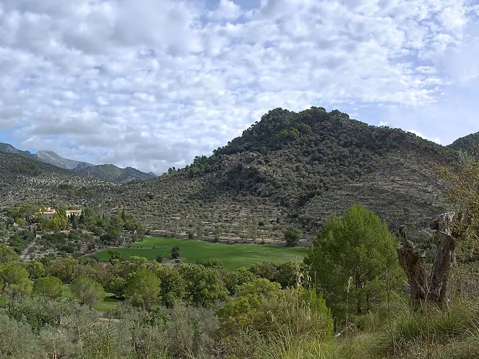 Puig de Sant Miquel
