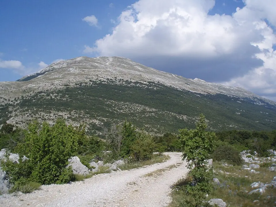 Velež
