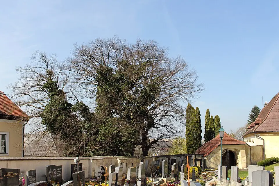 Friedhof christlich
