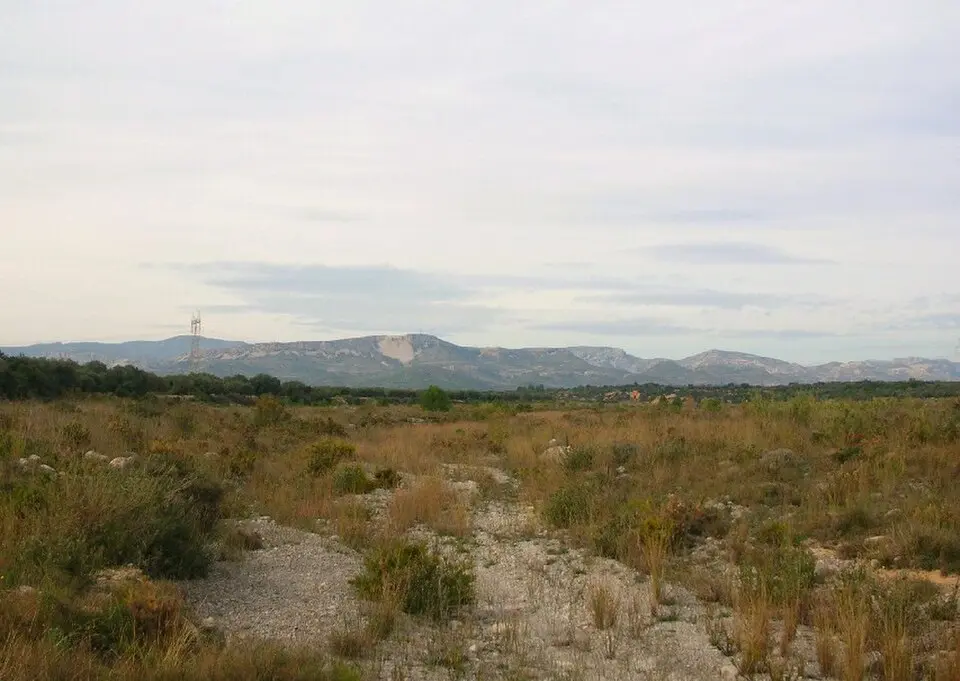 Rambla de Cervera