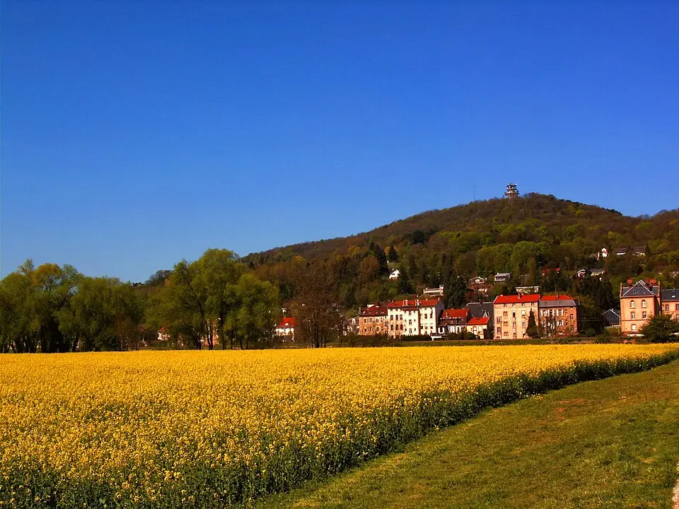 Bild: Kristina BEDIJS · CC BY-SA 2.5 mont Saint-Quentin