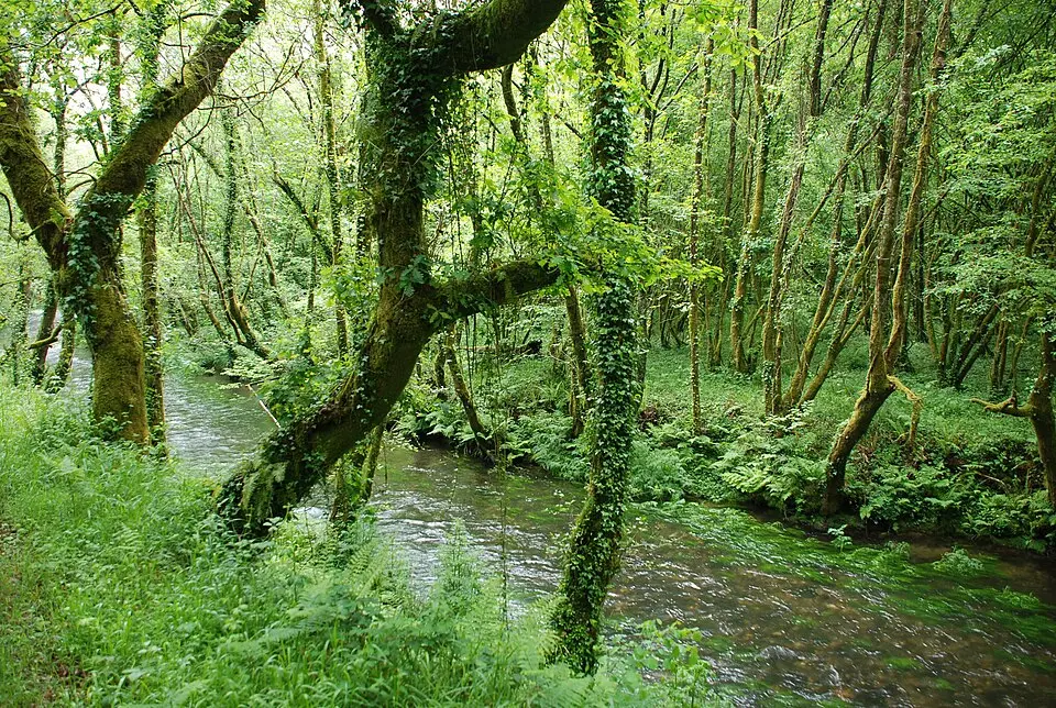 Río Lambre