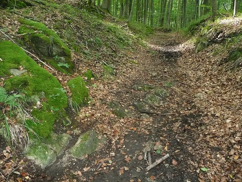 Grüner Pütz
