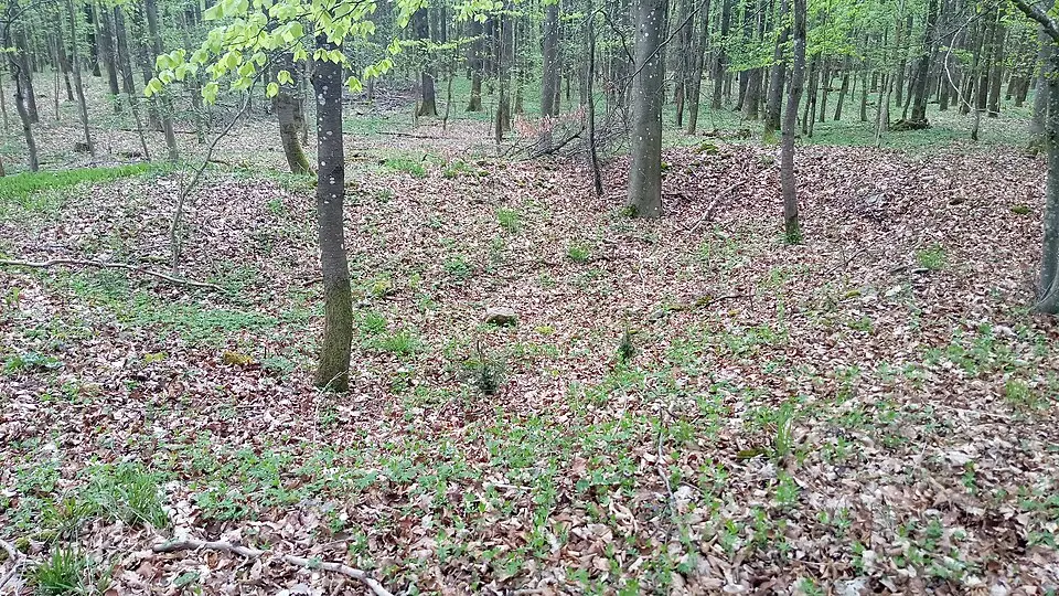 Obrázok: Granpar · CC BY 3.0 Römischer Wachturm Roschle (RLK8/23)