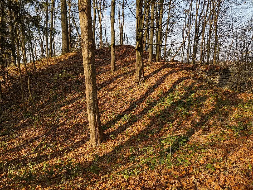 Bild: MartinVeselka · CC BY-SA 4.0 Burg Rýzmburk (Ostböhmen)