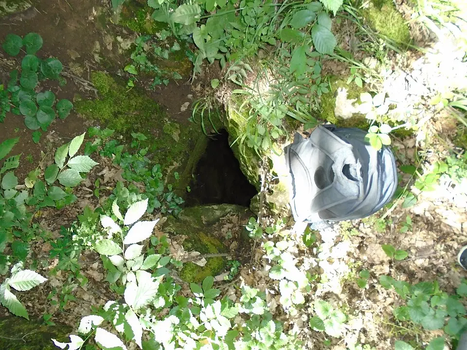 Rőt-kúti Dreher-zsomboly