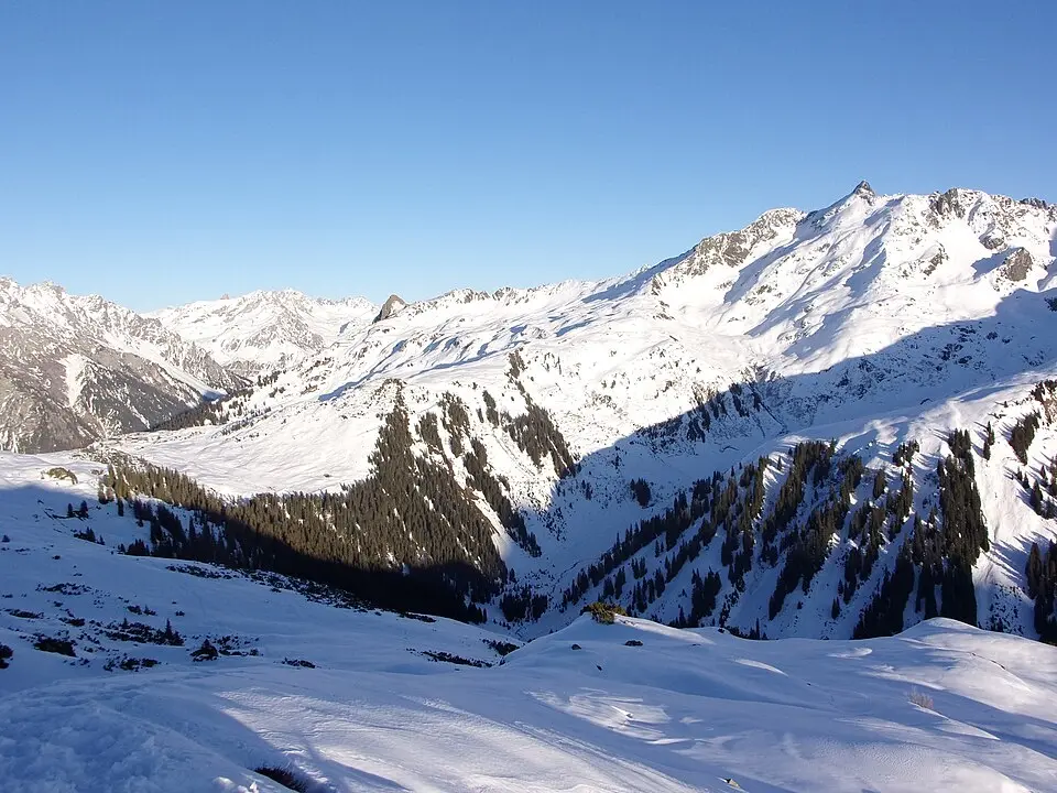 Ameisenspitze