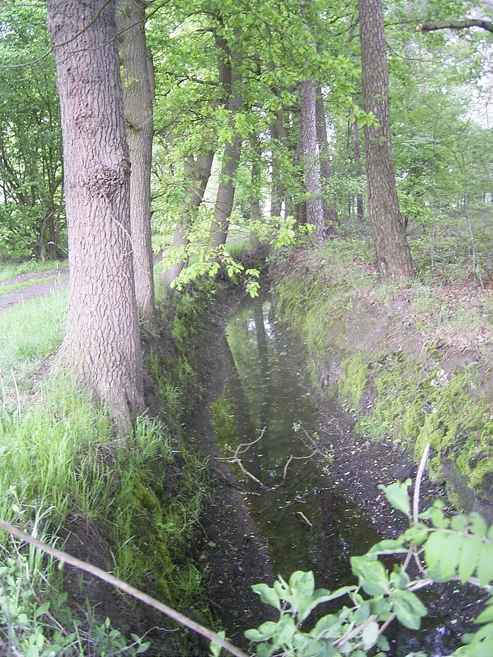 Immagine: Druffeler · CC BY-SA 3.0 Rothenbach
