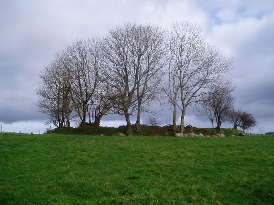 County Cavan