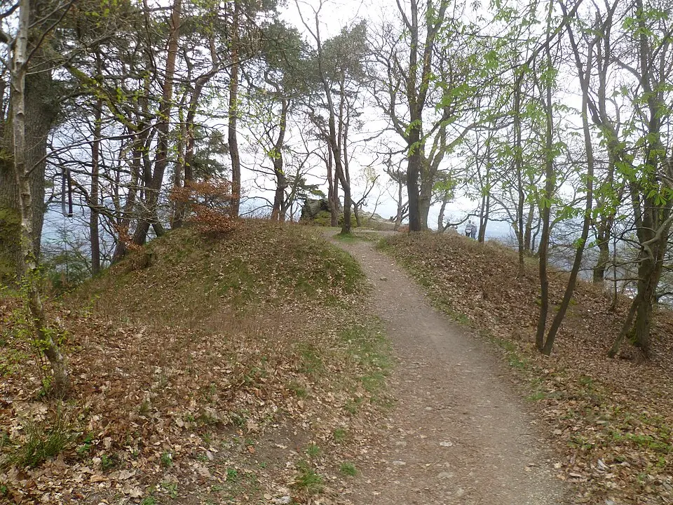 Ringwall Staufen