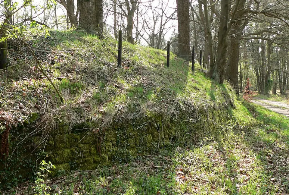 Immagine: Benutzer:AxelHH · Public domain Ringwall von Burg