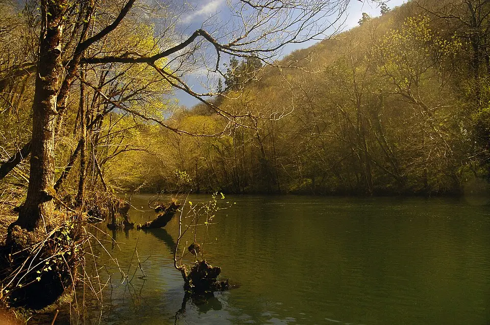 Río Eume