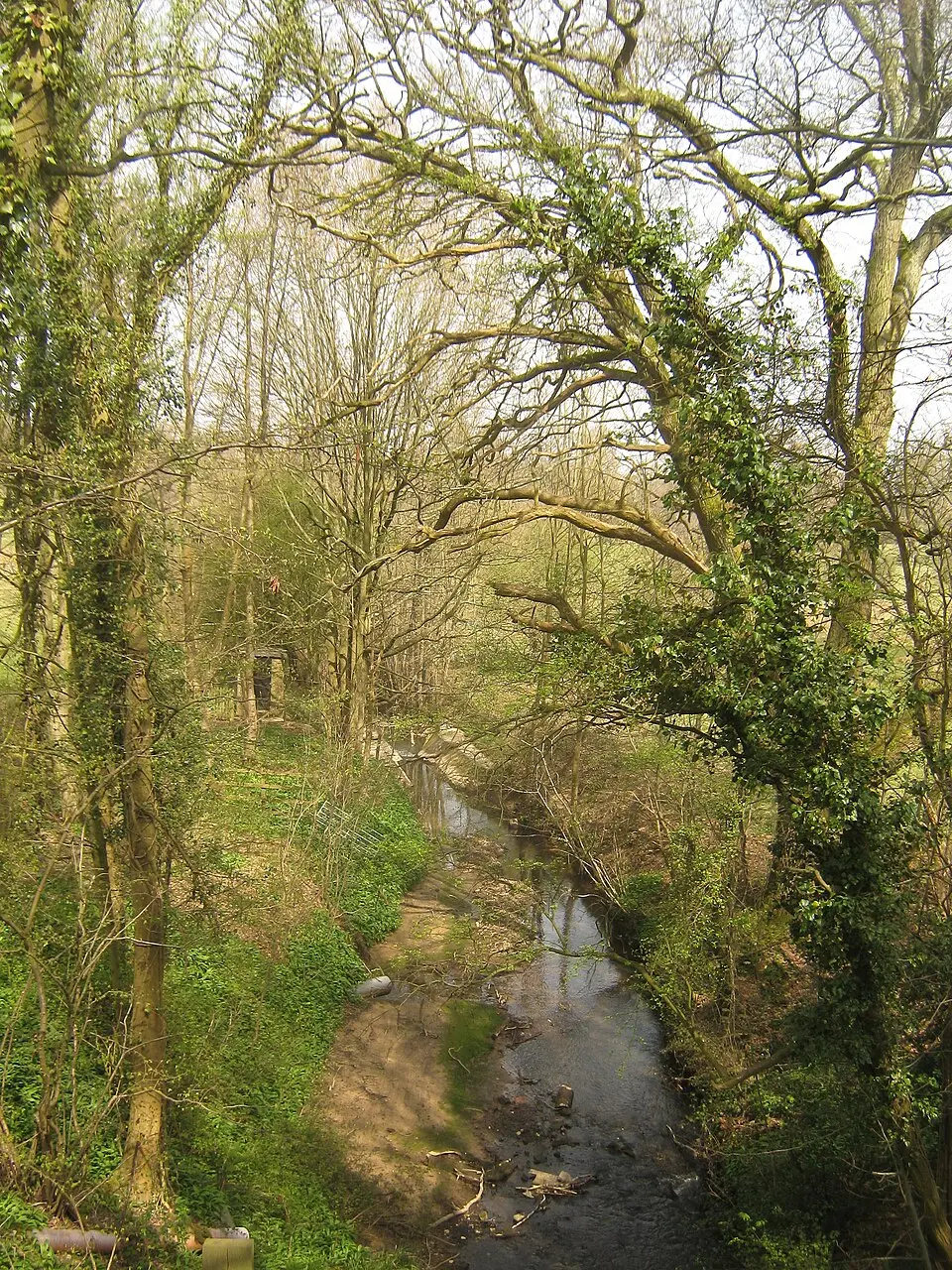 River Bewl