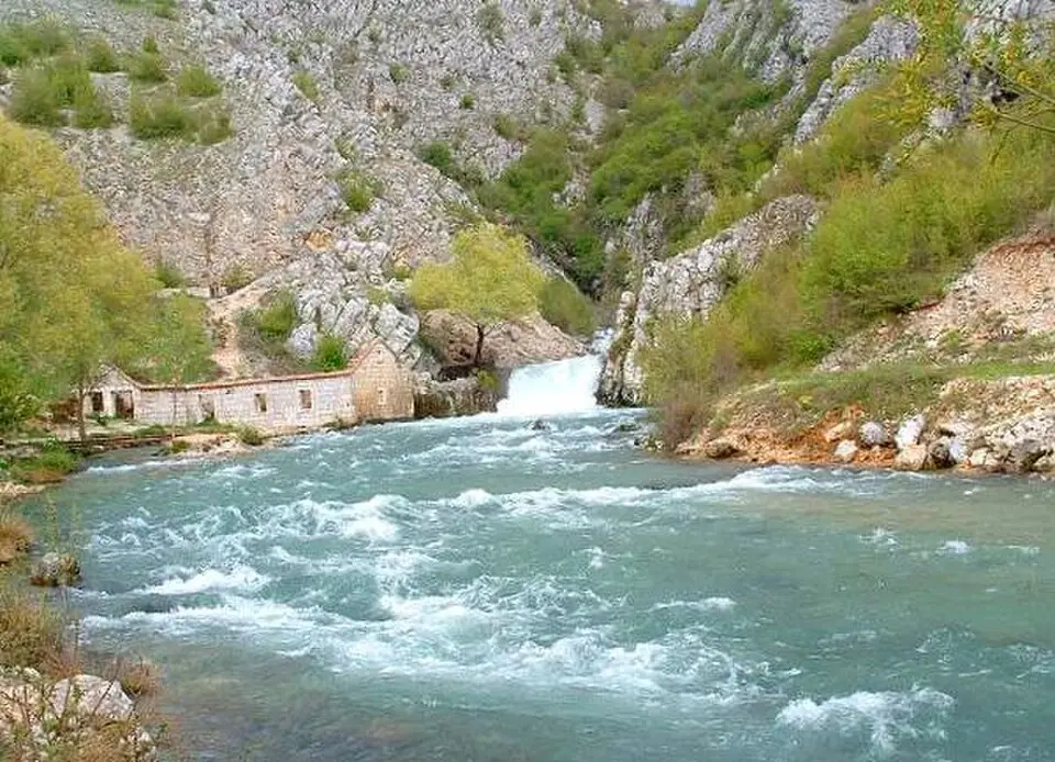 Ruda