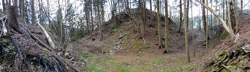 Bild: Niki.L · CC BY-SA 4.0 Burgruine Pöckstein
