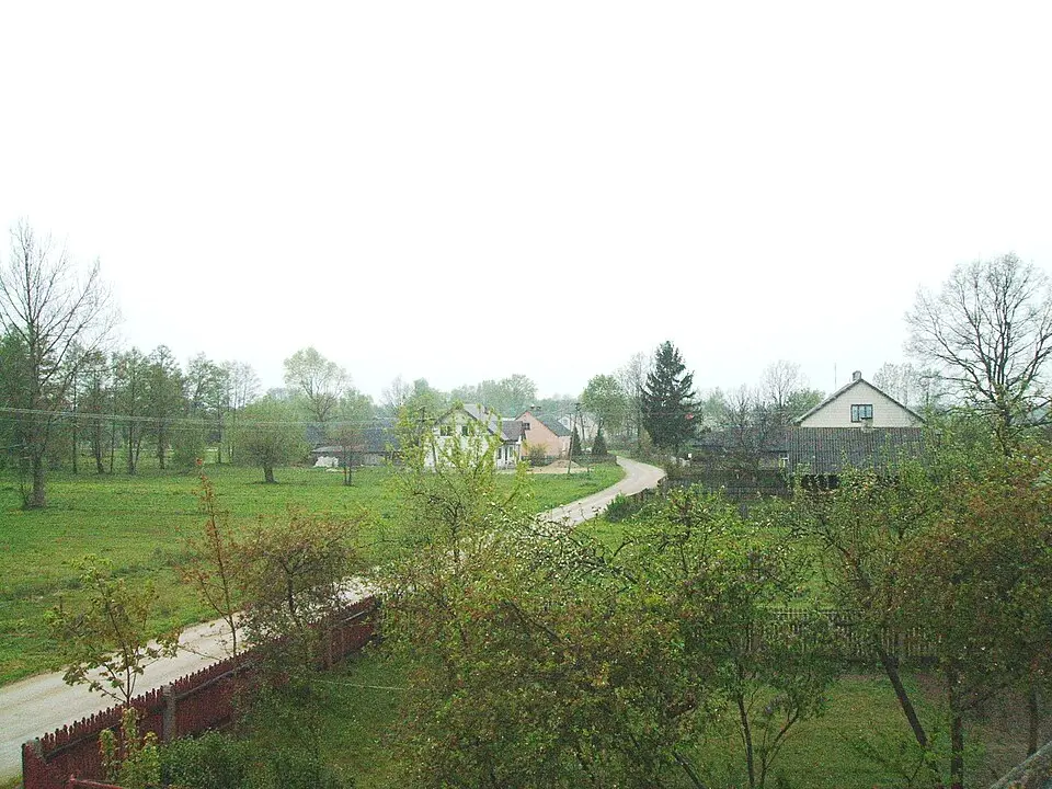 Bild: McTrojanek · CC BY-SA 3.0 Rząśnik Włościański