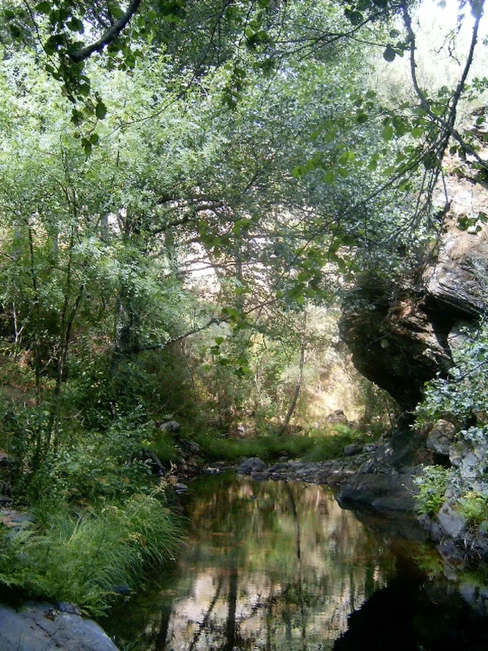Río Sabor