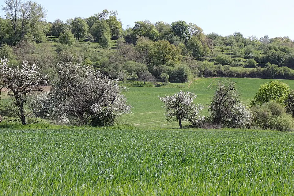 Naturpark Bayerischer Spessart