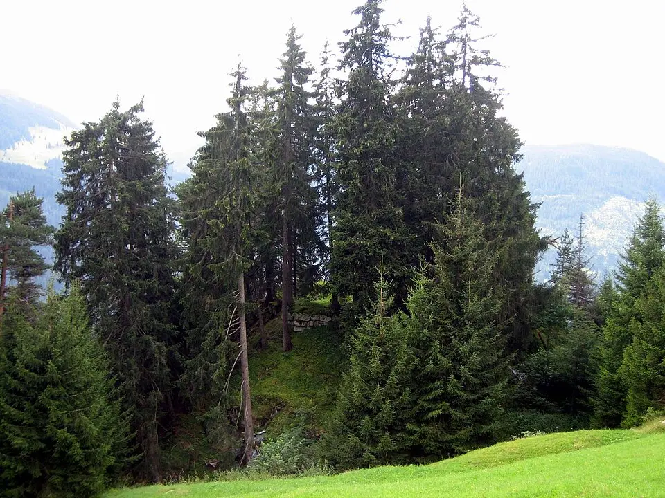 Burg Salons