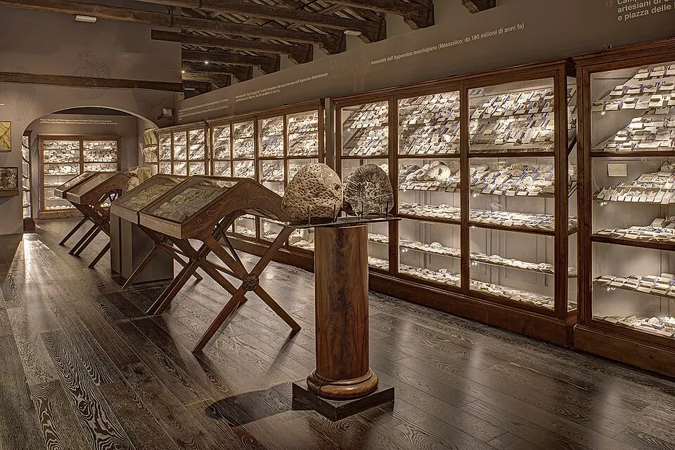 Bild: Civic museums of Imola · CC0 Museo Giuseppe Scarabelli