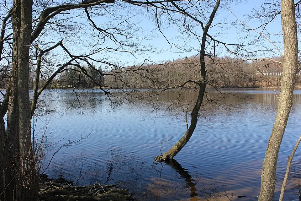 Sankelmarker See