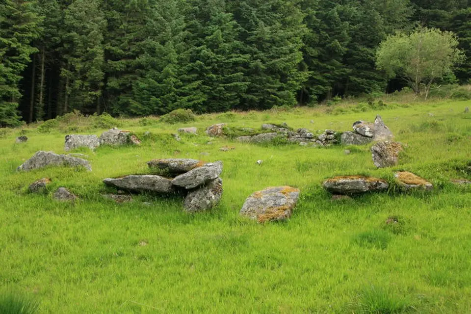 Obrázek: Guy Wareham · CC BY-SA 2.0 Stone alignment, hut circle settlement, medieval long house and post-medieval farmstead at Assycombe