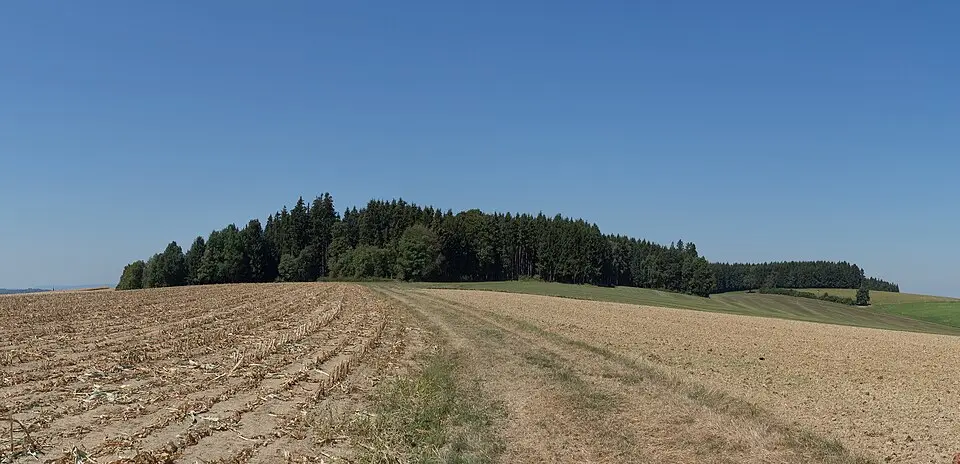 Bild: Hubertl · CC BY-SA 4.0 Hügelgräberfeld Lohnergut