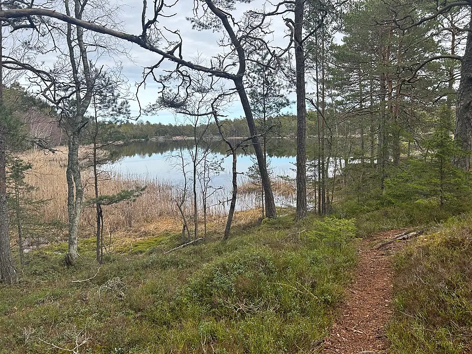 Nämdö naturreservat