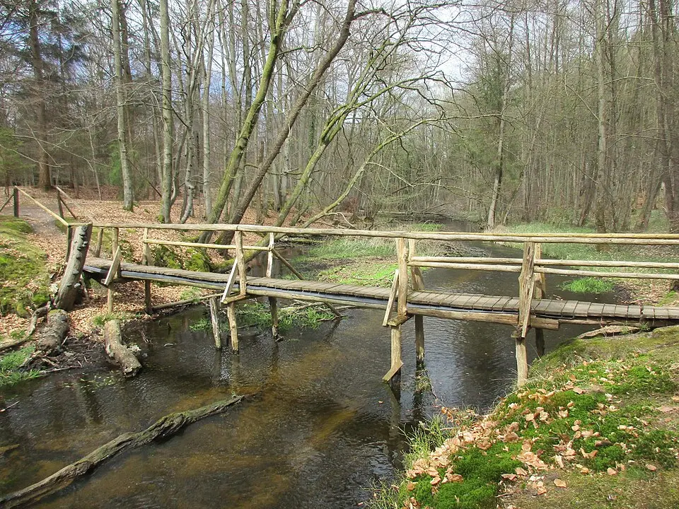 Schaale